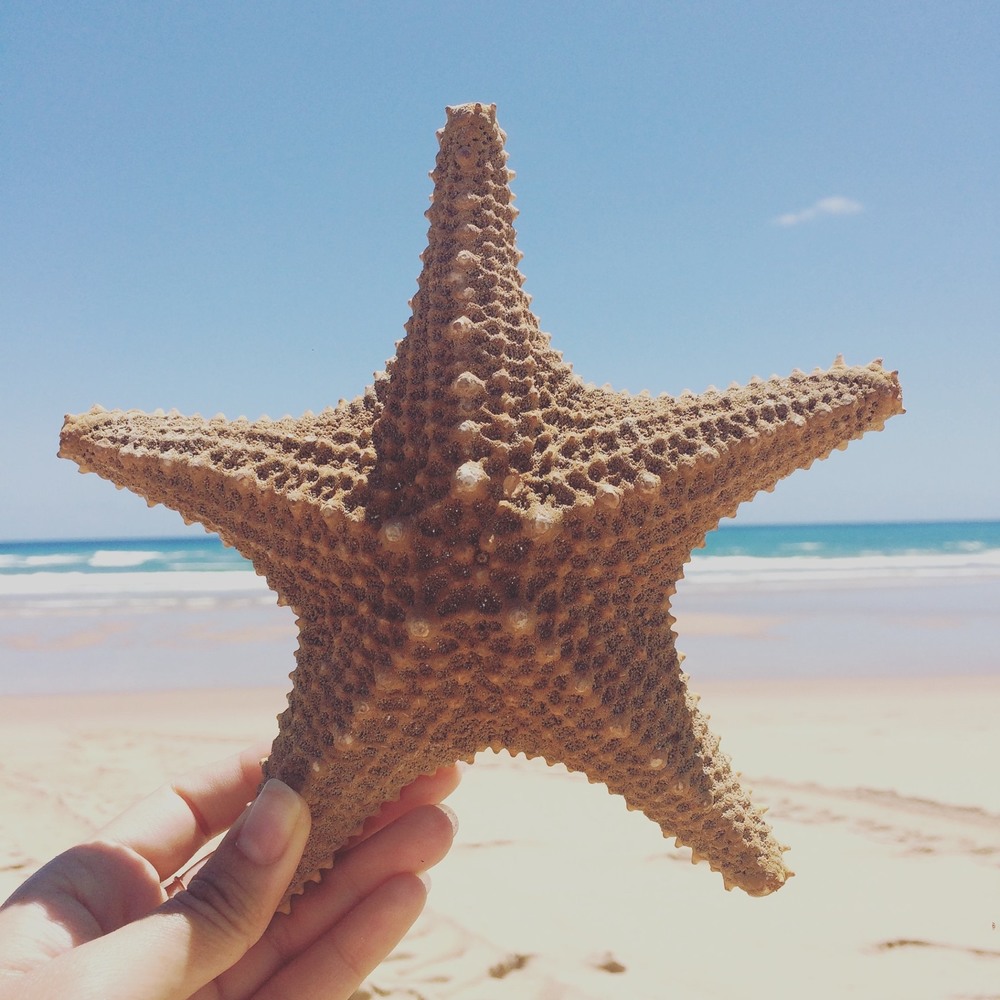 Meet your Posher, Shila